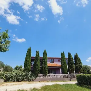 Nika Bibinje
